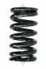 SPIDAN 55130 Coil Spring